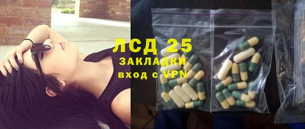 PSILOCYBIN Новодвинск