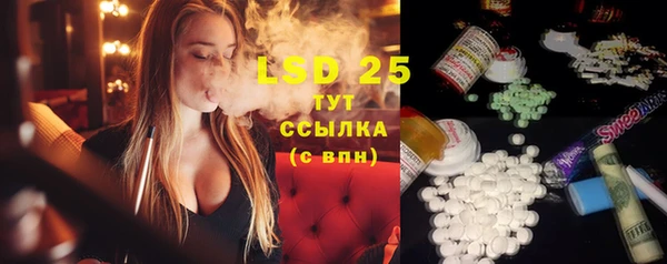 PSILOCYBIN Новодвинск