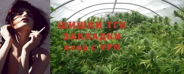 PSILOCYBIN Новодвинск