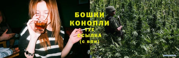 PSILOCYBIN Новодвинск