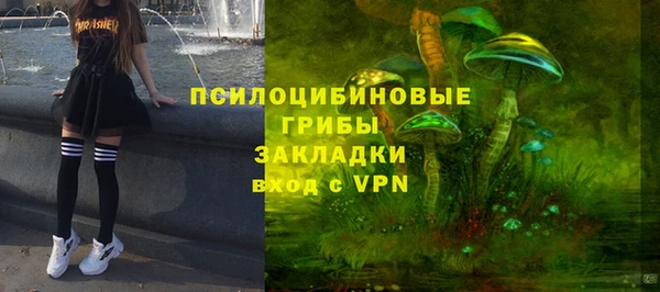 PSILOCYBIN Новодвинск