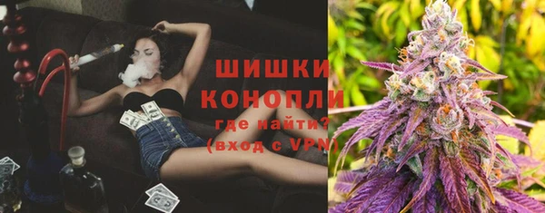 PSILOCYBIN Новодвинск