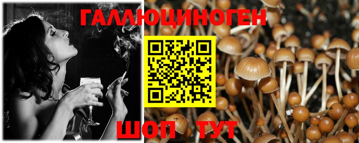 Псилоцибиновые грибы мухоморы Каспийск